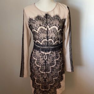 Lace Black and Tan Dress